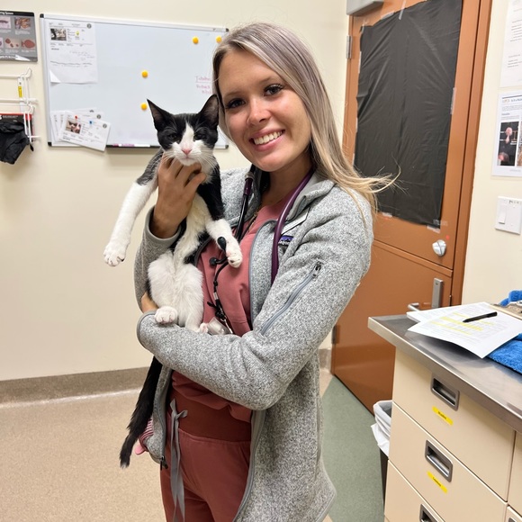 Meet your Posher, Nicole - Picture 1 of 1